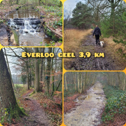 Everloo - Geel