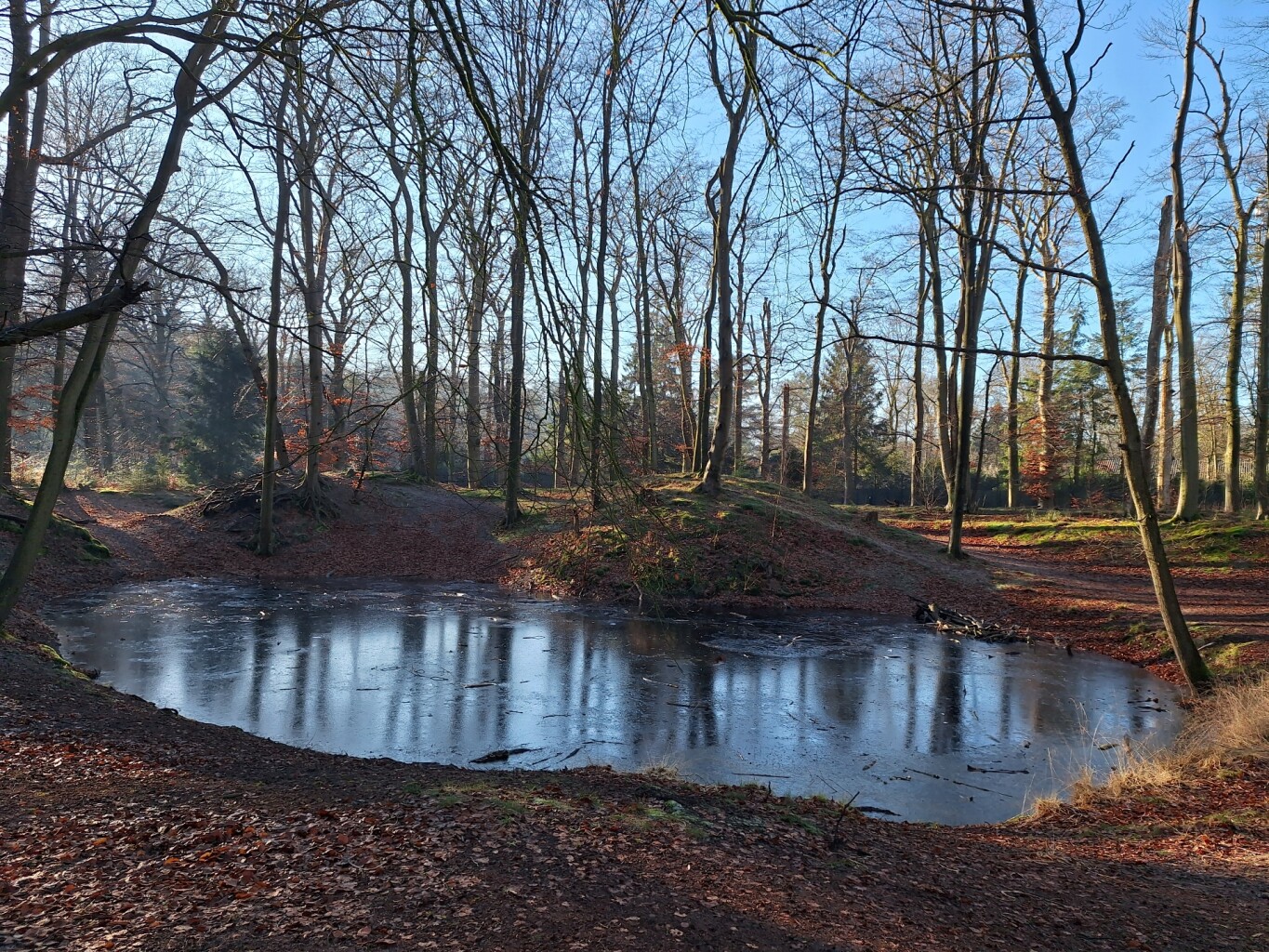 Wandelroute langs de Kasteeltuin
