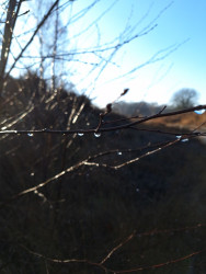 Wandelroute Stulp