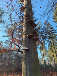 Wandelroute Stulp