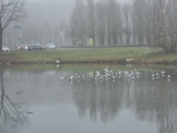 Etten-leur in de mist