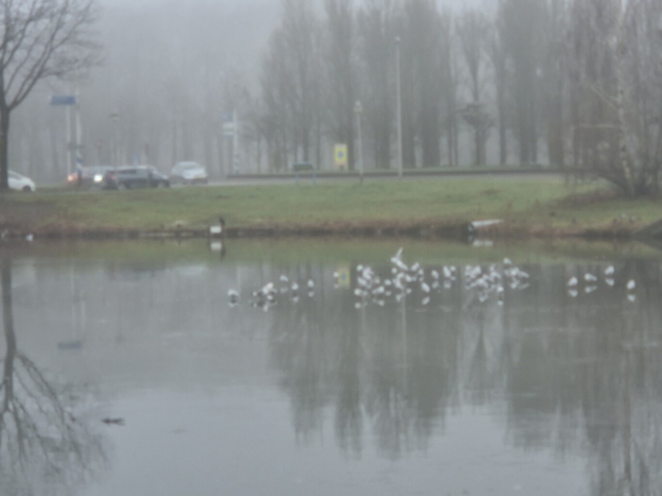 Etten-leur in de mist