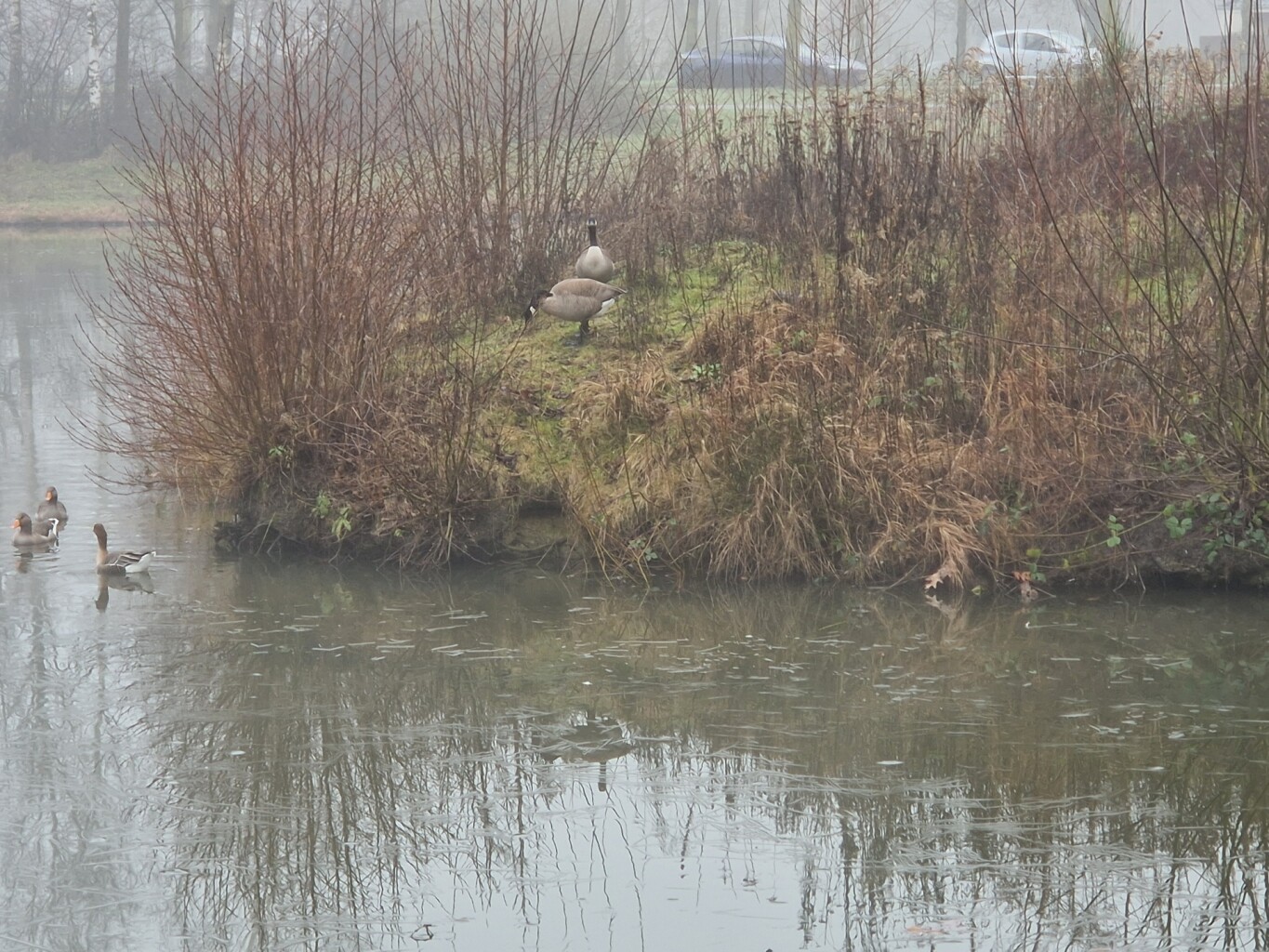Etten-leur in de mist
