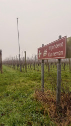 Bollertroute