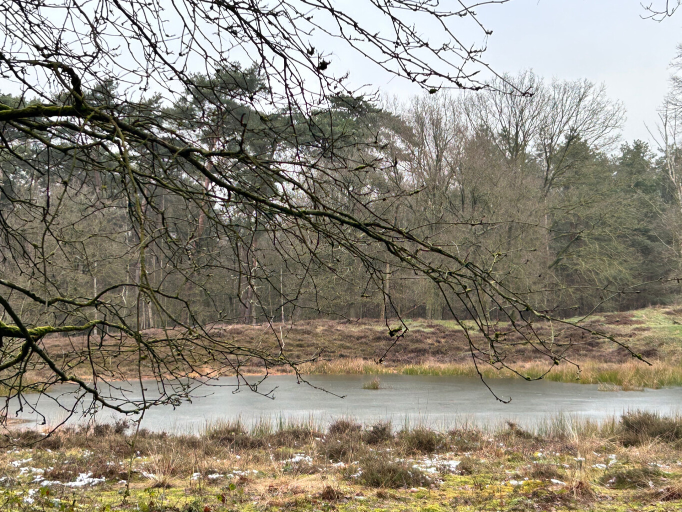 20250116 Beegderheide