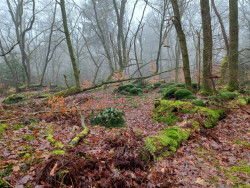 Gieten - Borger · Drenthepad etappe 12