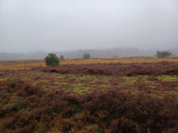 Gieten - Borger · Drenthepad etappe 12