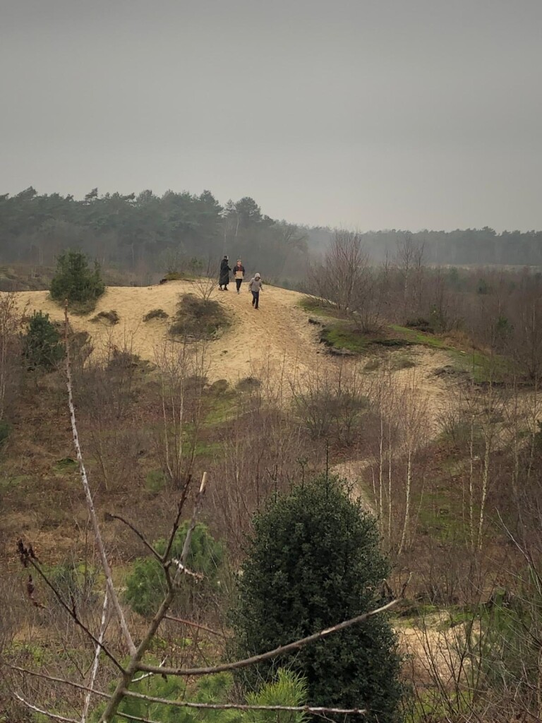 Wandelroute Schaaks Heide