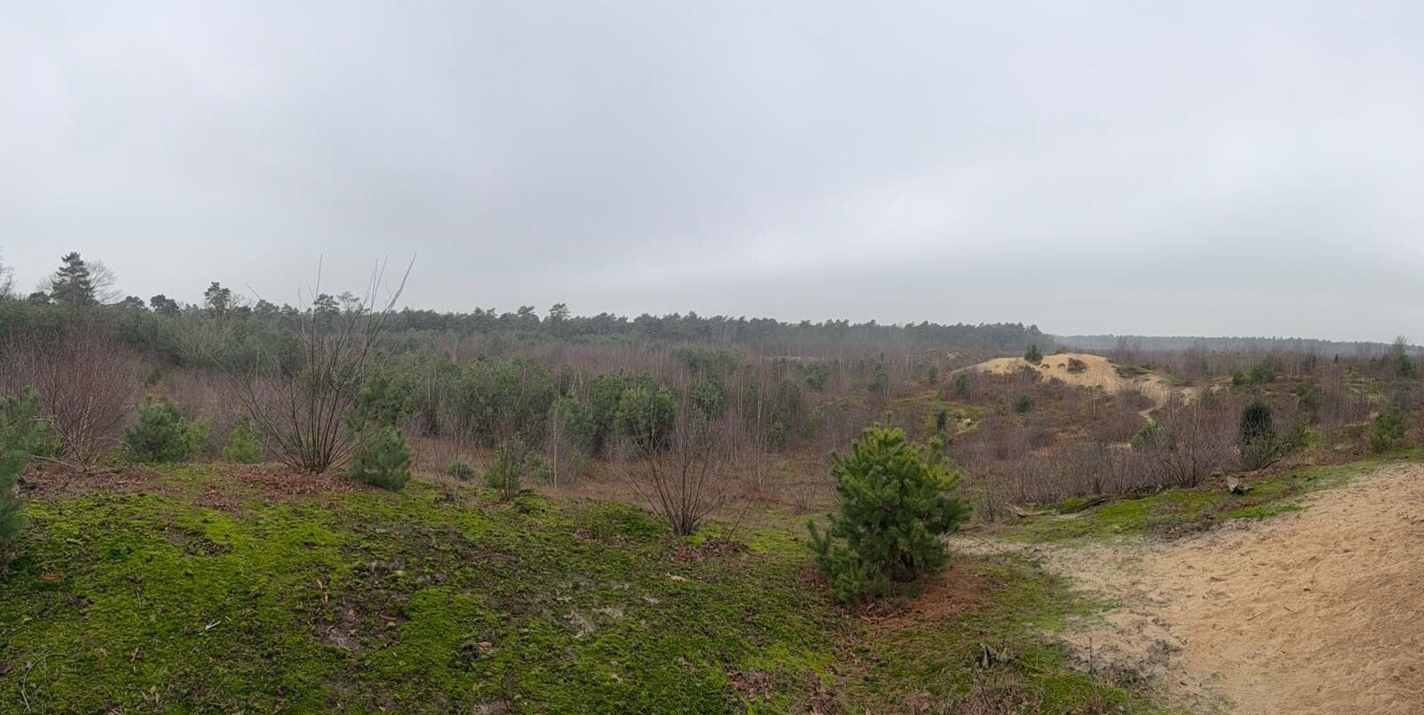 Wandelroute Schaaks Heide