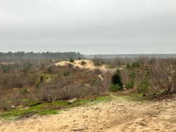 Wandelroute Schaaks Heide
