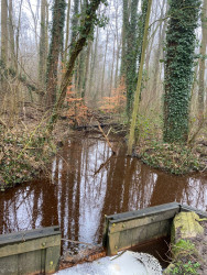 Winterwandeltocht WSV wiegt