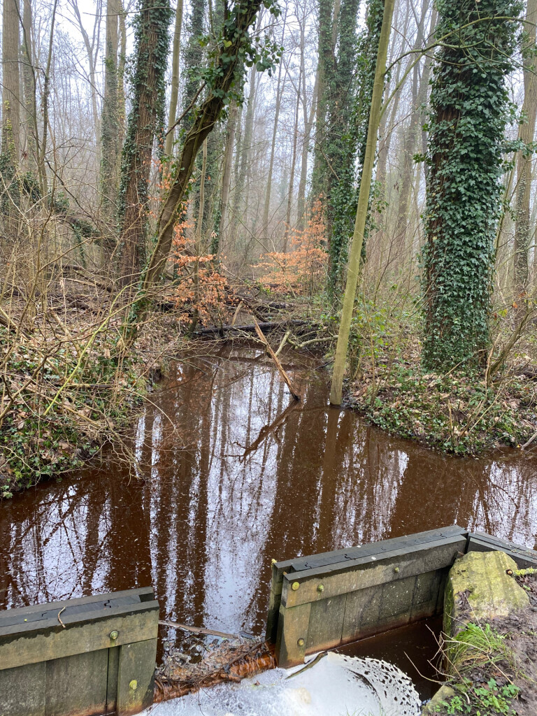 Winterwandeltocht WSV wiegt