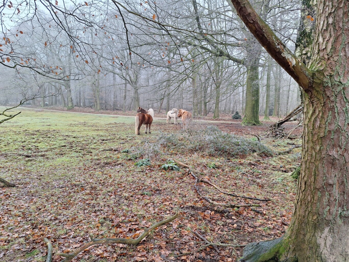 Wandelroute Heuven Beekhuizen Veluwezoom