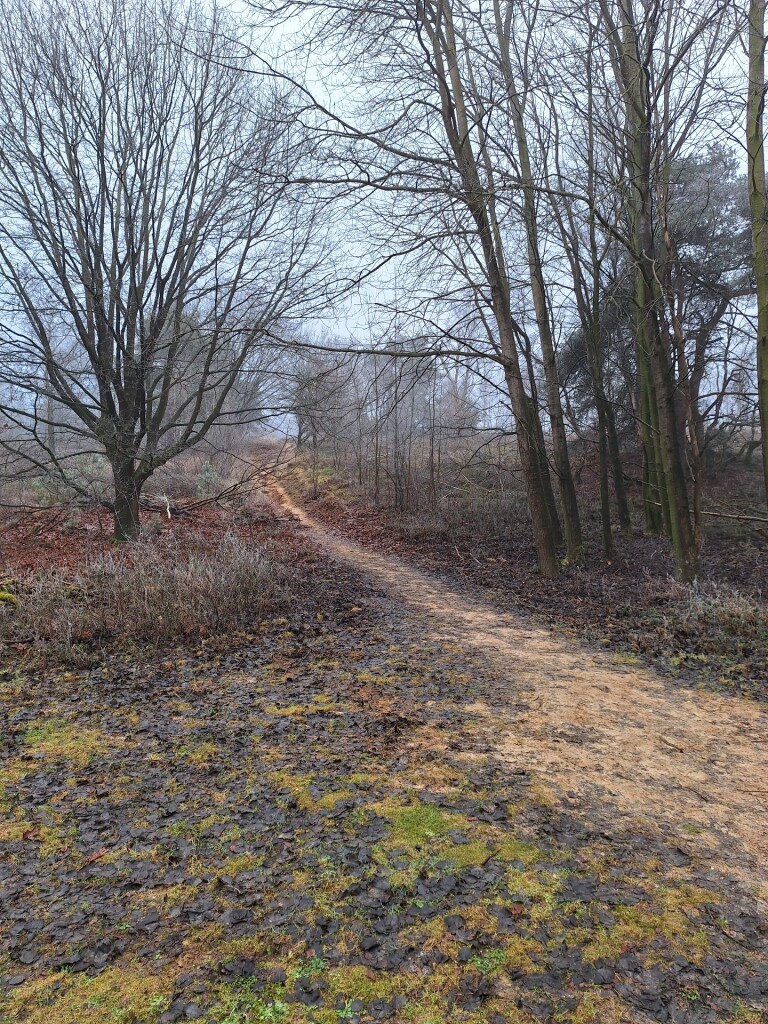 Wandelroute Heuven Beekhuizen Veluwezoom