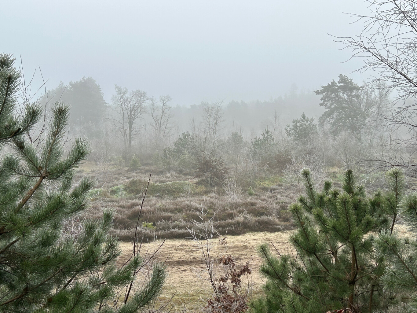 Airbornepad Market Garden - 20 · Airbornepad etappe 20