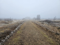 Door het bargerveen
