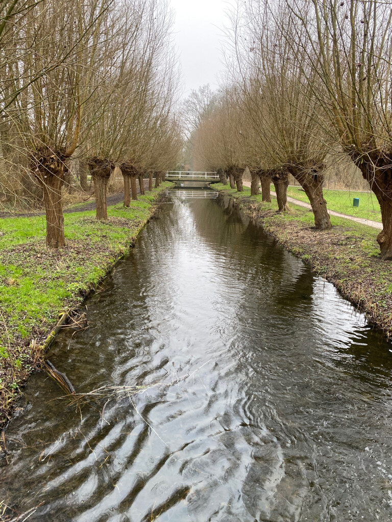 Delftse Hout rondje om de plas