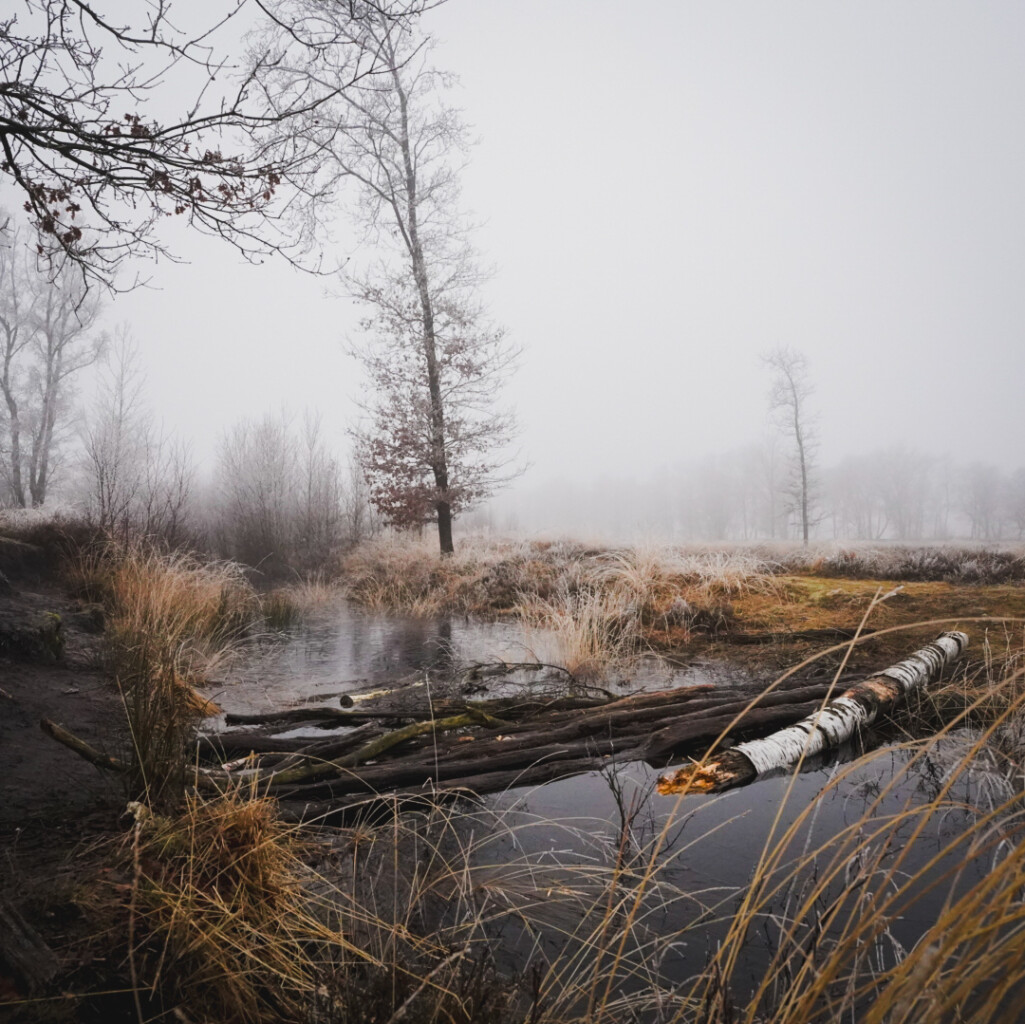 Boswachterspad Ballooërveld