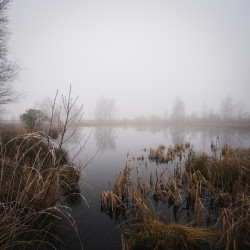 Boswachterspad Ballooërveld