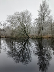 Slochteren - Sappemeer · Groninger Borgenpad etappe 15