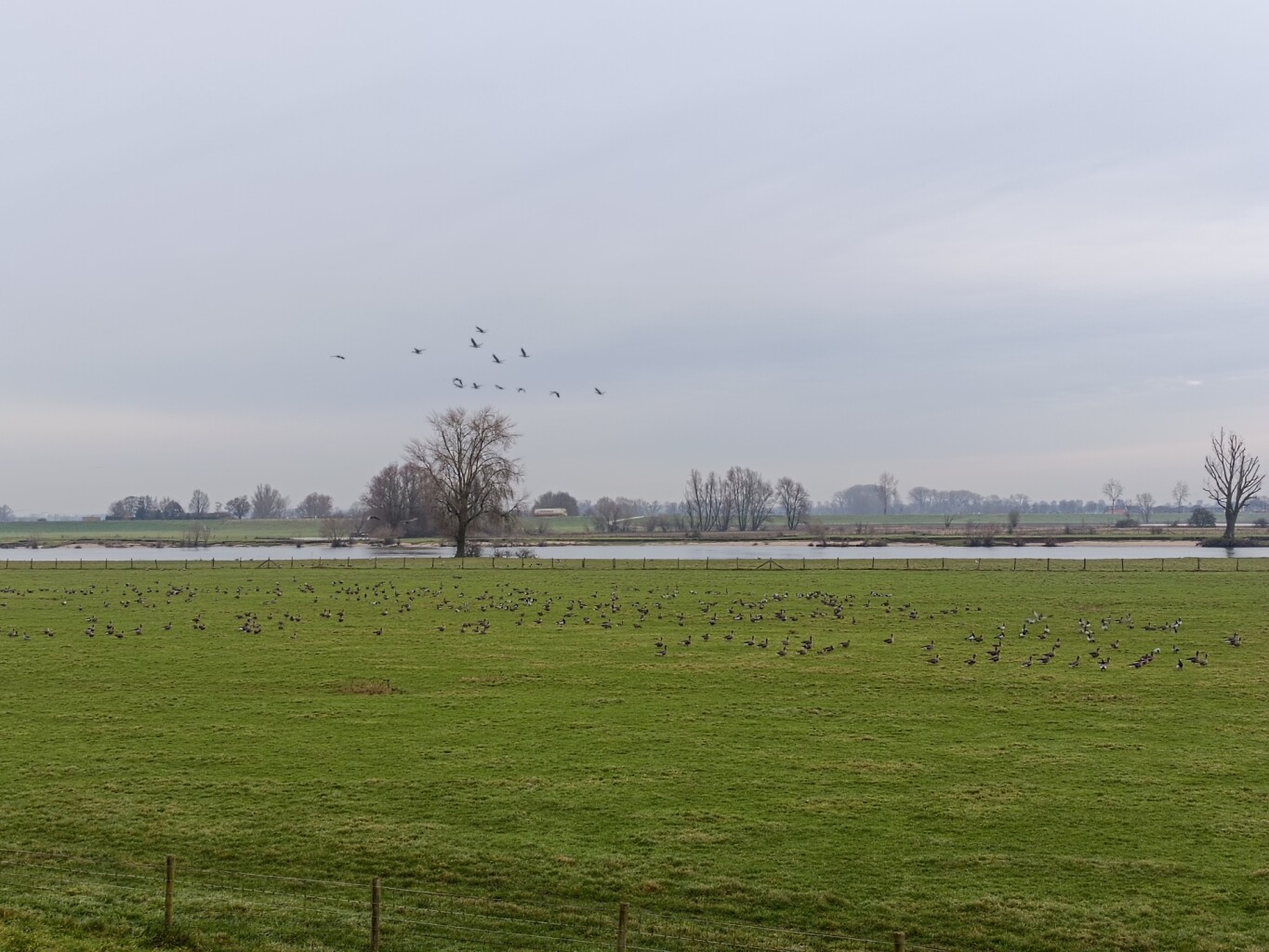 Heusden - Den Bosch · Camino Brabant etappe 13