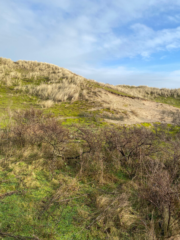 Egmond wandelmarathon