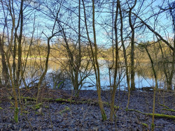 Wandelroute Steltloperroute