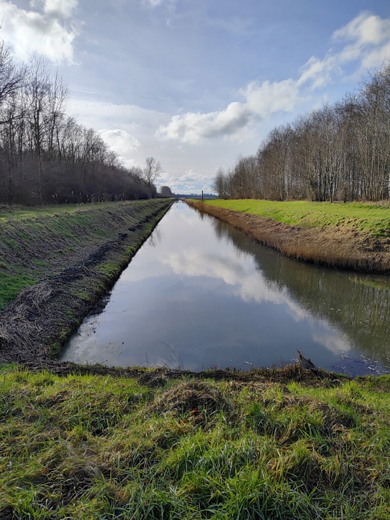 Wandelroute Steltloperroute