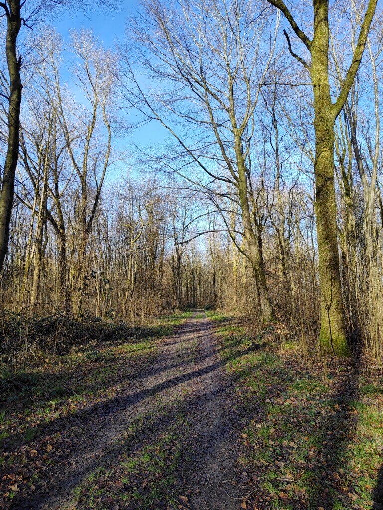 Wandelroute Steltloperroute