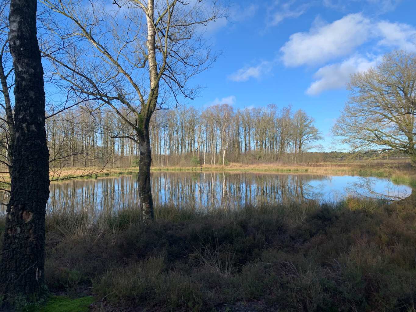 Uddelermeerpad Uddel