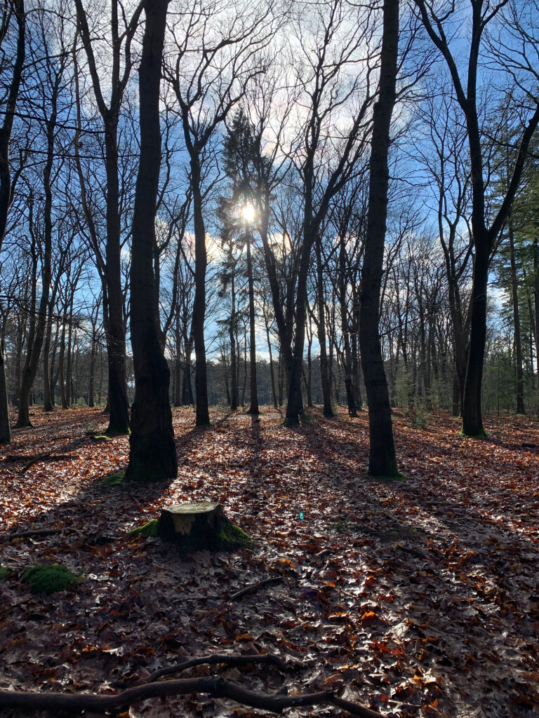 Uddelermeerpad Uddel