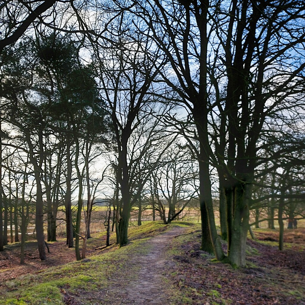 Oud Avereest - Oranje
