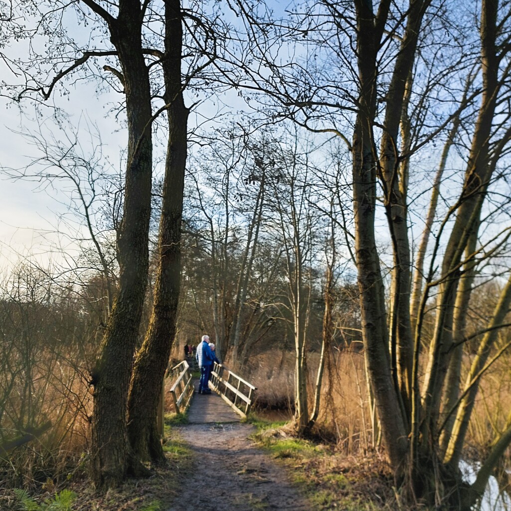 Oud Avereest - Oranje