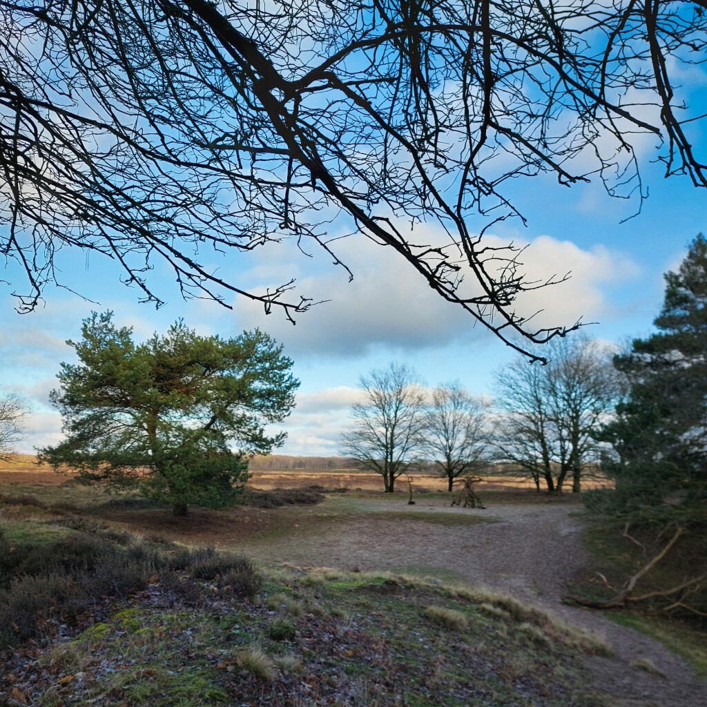 Oud Avereest - Oranje