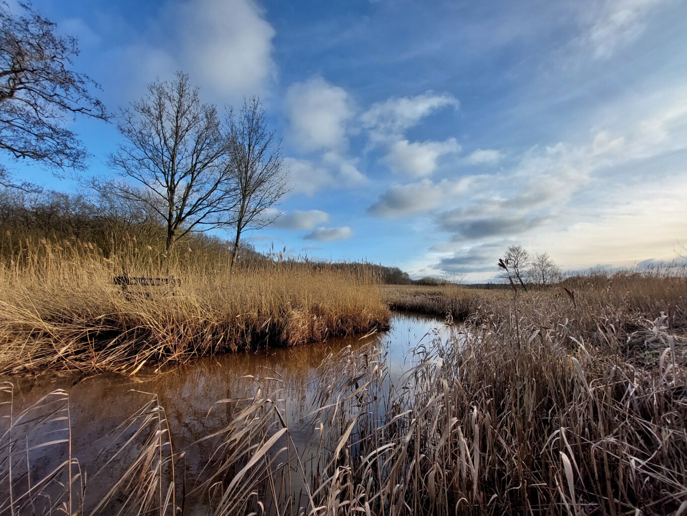 Oud Avereest - Oranje