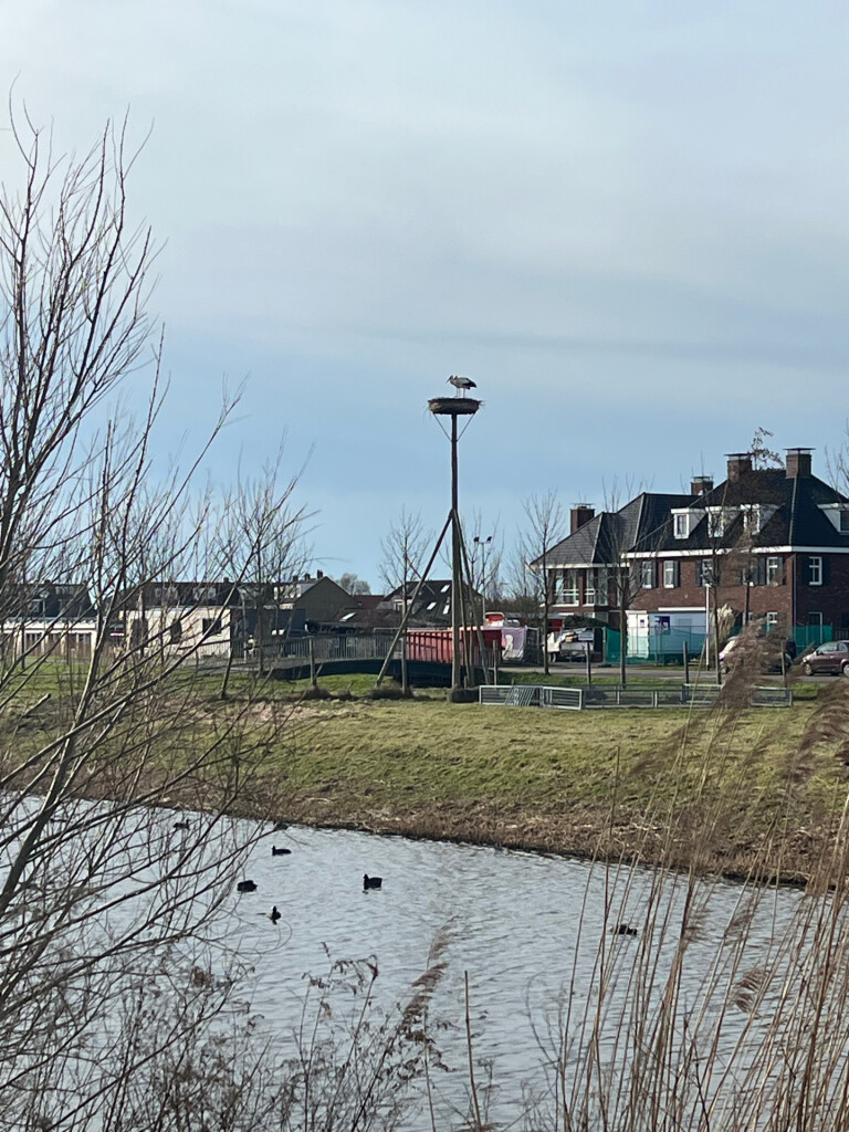 Katwijk aan Zee - Leidsche Hout · Romeinse Limespad etappe 1
