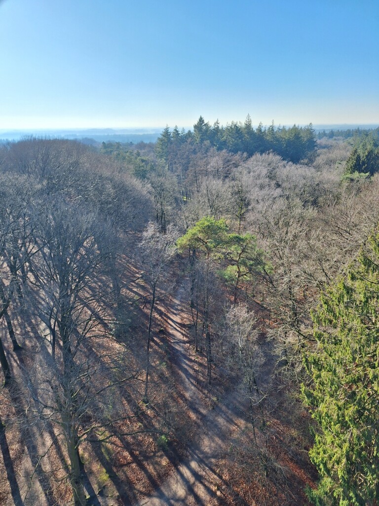 Wandelroute Hoogtepunten Kaapse Bossen - Doorn