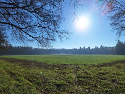 Wandelroute Hoogtepunten Kaapse Bossen - Doorn