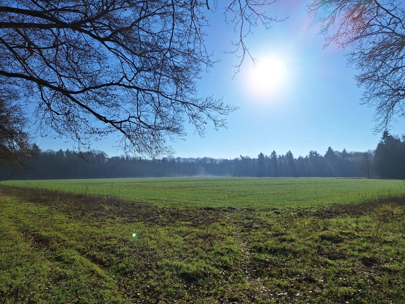 Wandelroute Hoogtepunten Kaapse Bossen - Doorn