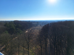 Wandelroute Hoogtepunten Kaapse Bossen - Doorn