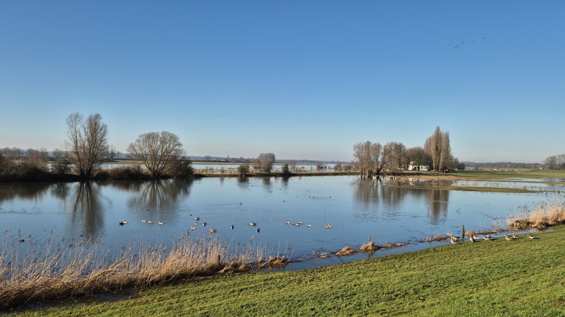 Windesheim - Olst · Sallandpad etappe 6