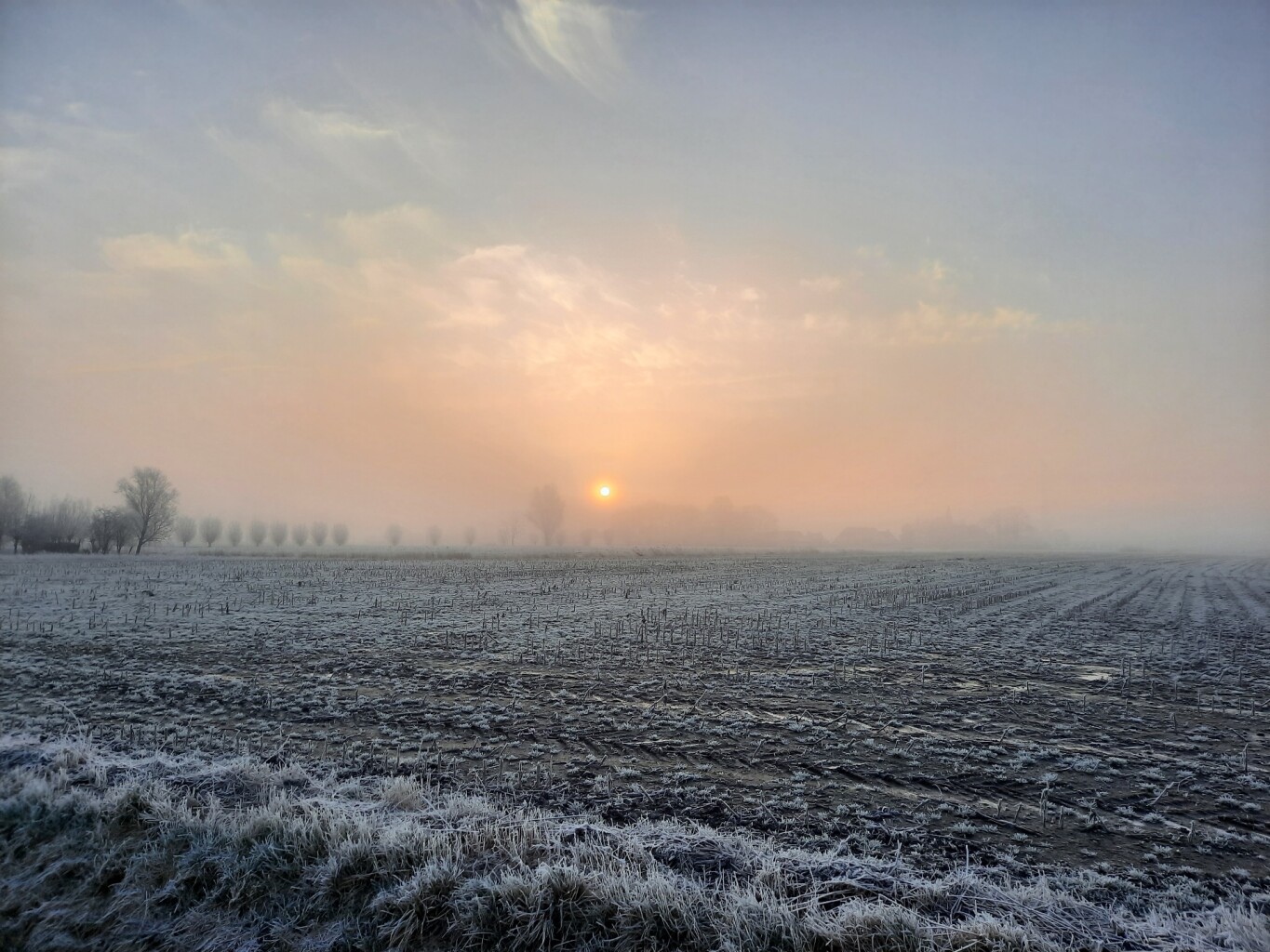 Het Sauwerder ommetje