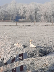Het Sauwerder ommetje
