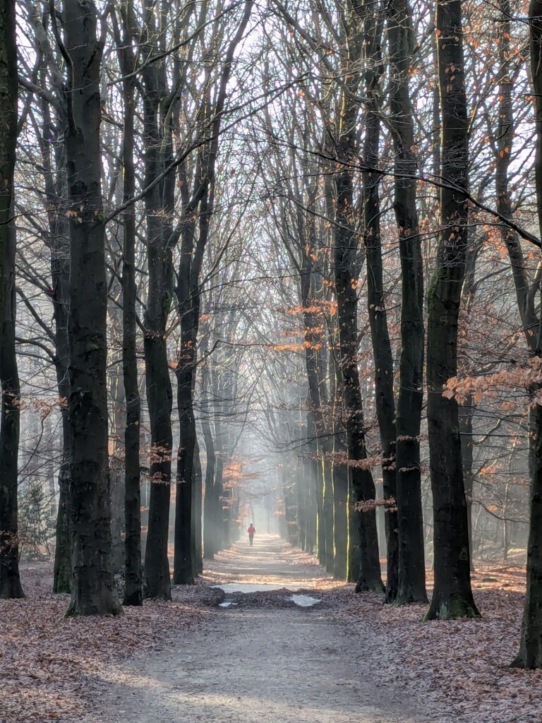 Amersfoort - Maartensdijk · Marskramerpad etappe 14