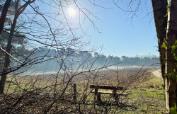 Nieuw-Bergen - Diekendaal · Maas-Niederrheinpad etappe 4