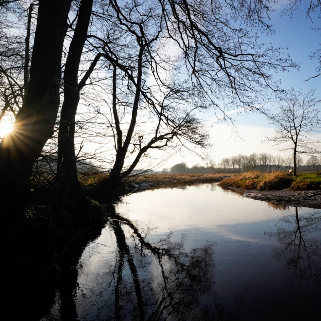 Boswachterspad Oudemolense Diep