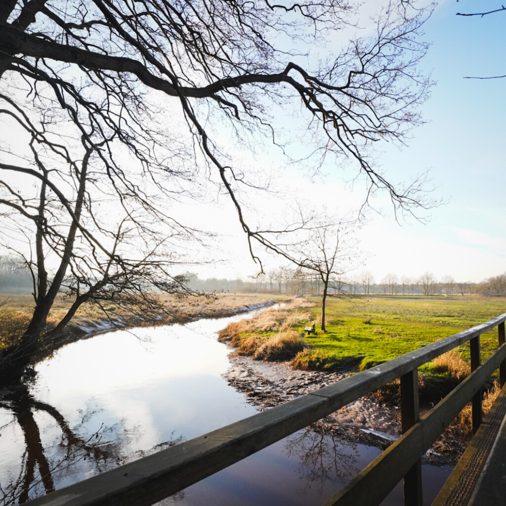 Boswachterspad Oudemolense Diep