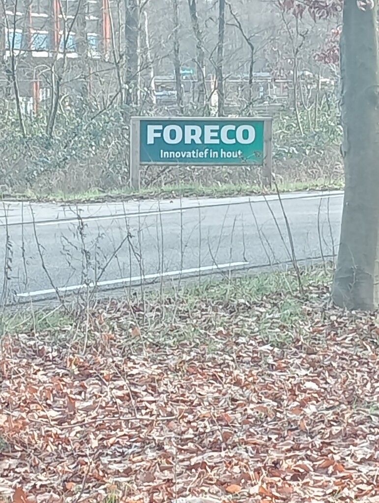 Rondje Rechteren bos