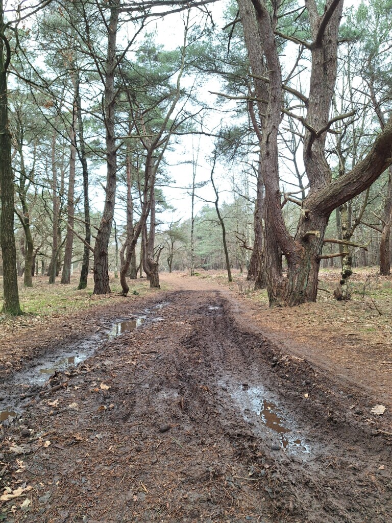Westerheideroute (paars)