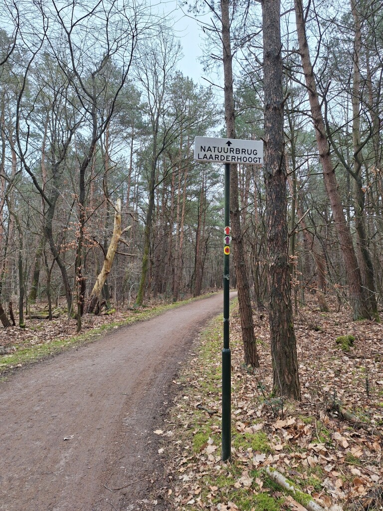 Westerheideroute (paars)